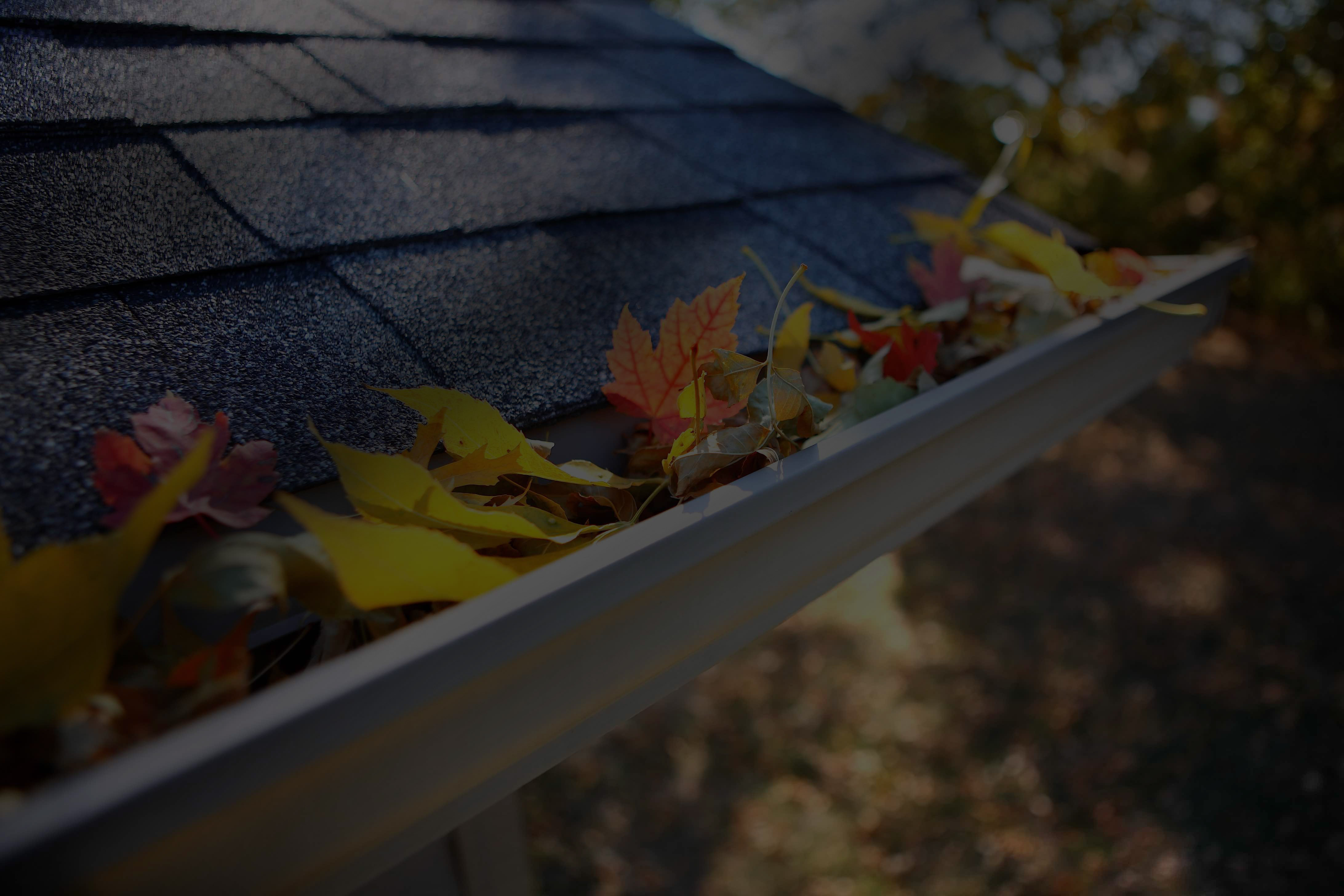 Home Arrow Gutter Guards