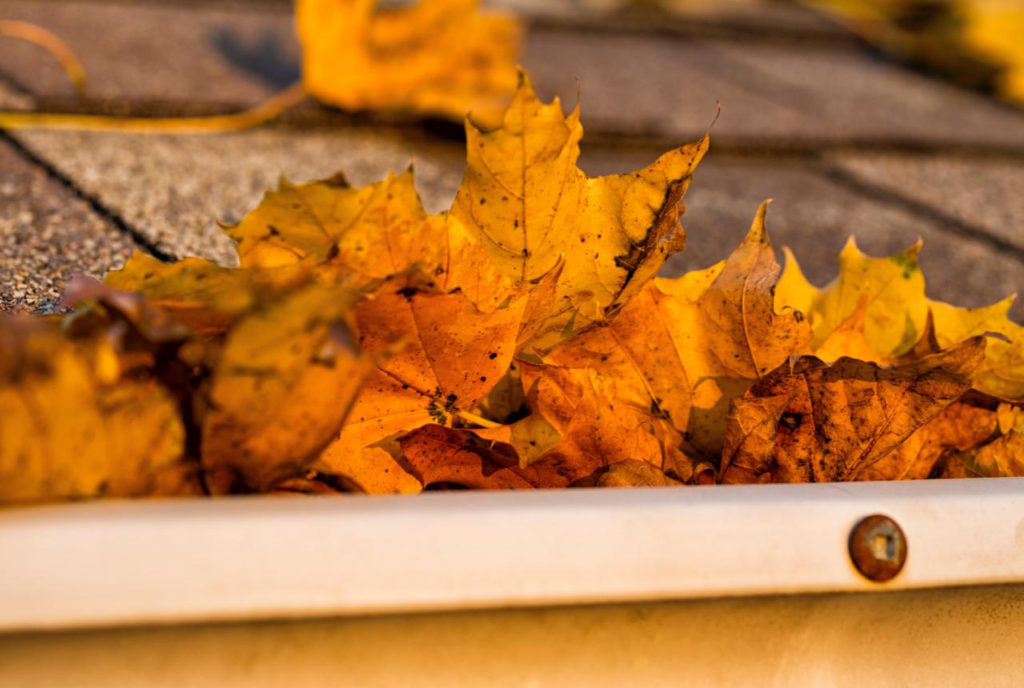 Home Arrow Gutter Guards